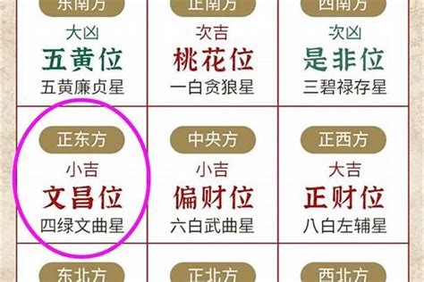 文昌位要擺什麼|2023兔年文昌位 │ 一文看清6大文昌擺設、禁忌，包你。